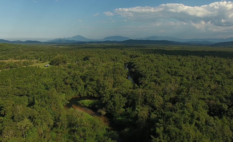 Vale do Gigante - Serra do Mar